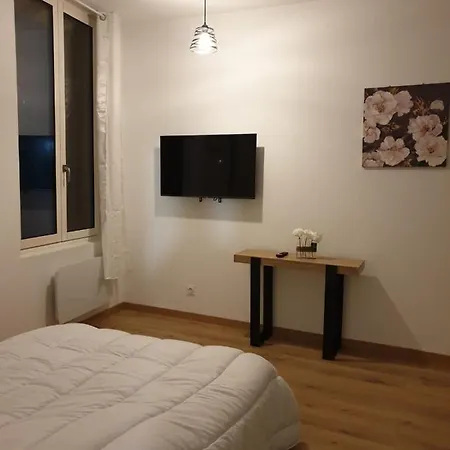 Maillol Centre Historique * Perpignan