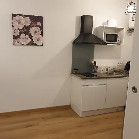 Apartament Maillol Centre Historique *